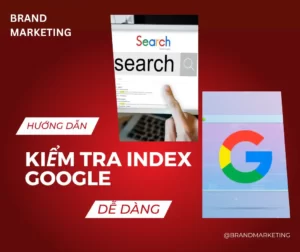 Cách kiểm tra google index
