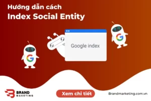 Cách index backlink Social Entity